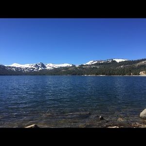 Meet your Posher, Rosa